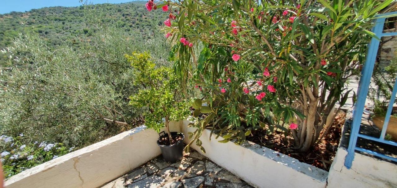 Maison Charme Avec Piscine Privee, Pres De La Mer A Sappounakeika, Tyros Villa Sapounakeika Exteriör bild