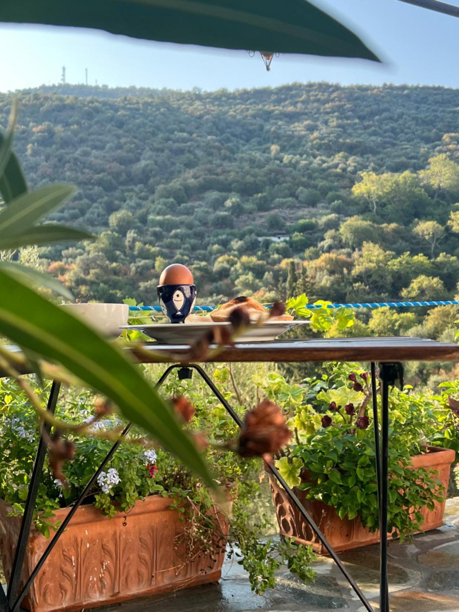 Maison Charme Avec Piscine Privee, Pres De La Mer A Sappounakeika, Tyros Sapounakeika Exteriör bild